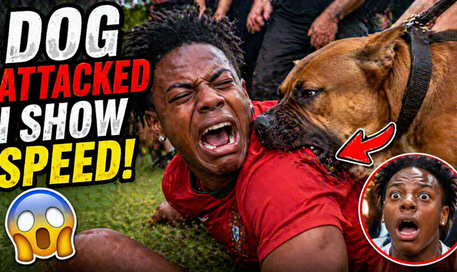 Watch the intense moment a dog lunged at IShowSpeed and changed the stream instantly