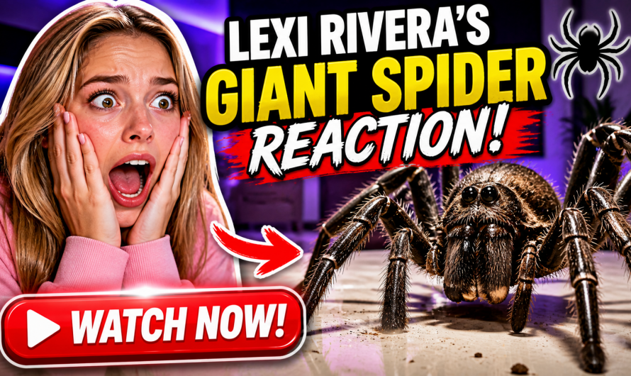 Watch Lexi Rivera Panic Instantly After Facing a Giant Spider That Shocked Everyone